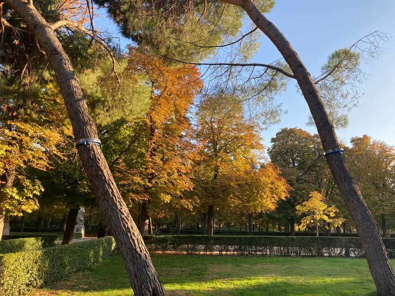 Madrid: Flow Yoga class in Retiro Park - Inside the 1 hour flow: what you can expect moment to moment