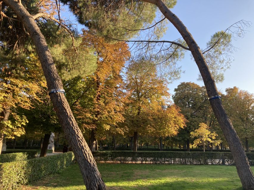 Madrid: Flow Yoga class in Retiro Park - Breath, trees, and the quiet advantage of doing yoga outdoors