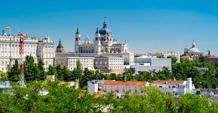 Madrid: Guided Highlights Walking Tour - Meeting at El Oso y el Madroño in Puerta del Sol, and how the first minutes work
