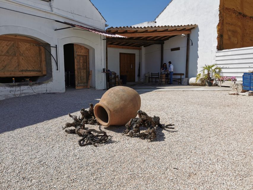 Madrid: half day wine region tour - Traditional Village Break: Plaça Energie and Panoramic Views