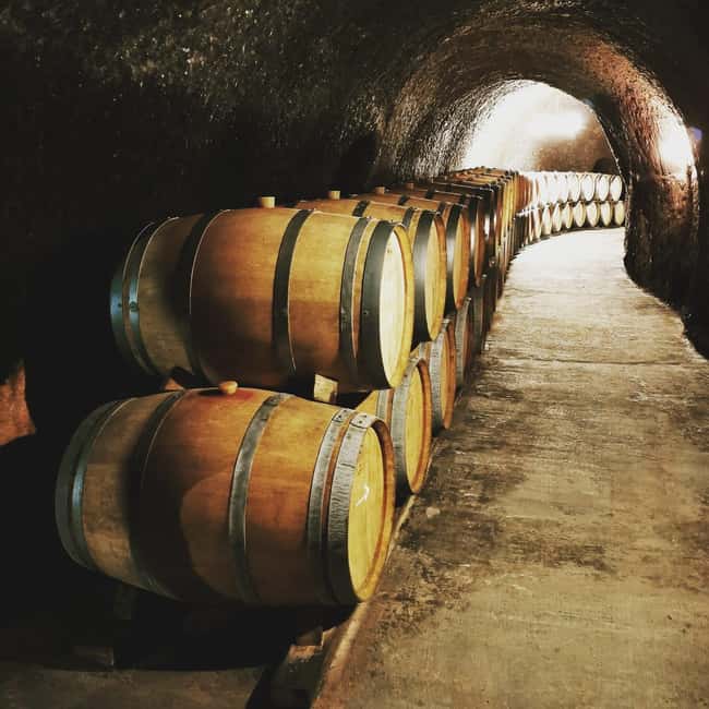 Madrid: half day wine region tour - The 6-Hour Rhythm: How the Day Flows Without Feeling Chaotic
