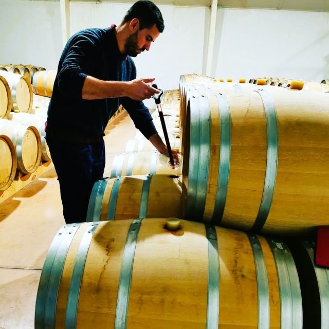 Madrid: half day wine region tour - Winery Stop One: Centennial-Scale Family Production and Owner-Led Tastings