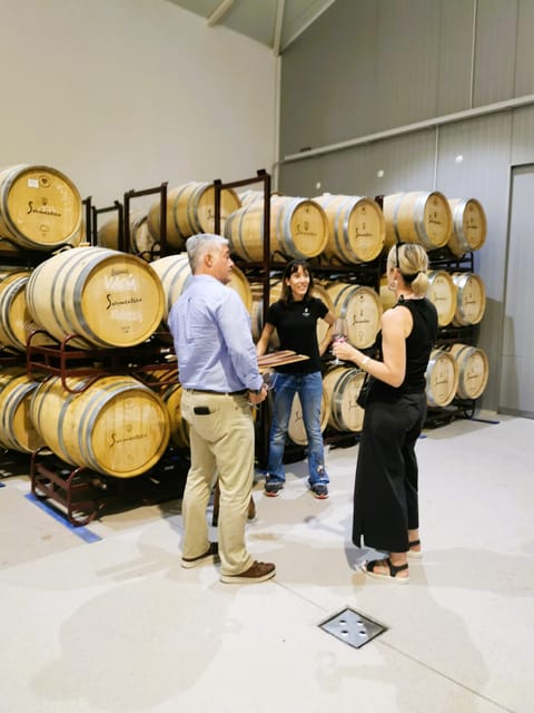 Madrid: half day wine region tour - Why Denominación de Origen Vinos de Madrid Tastes Like a Real Place