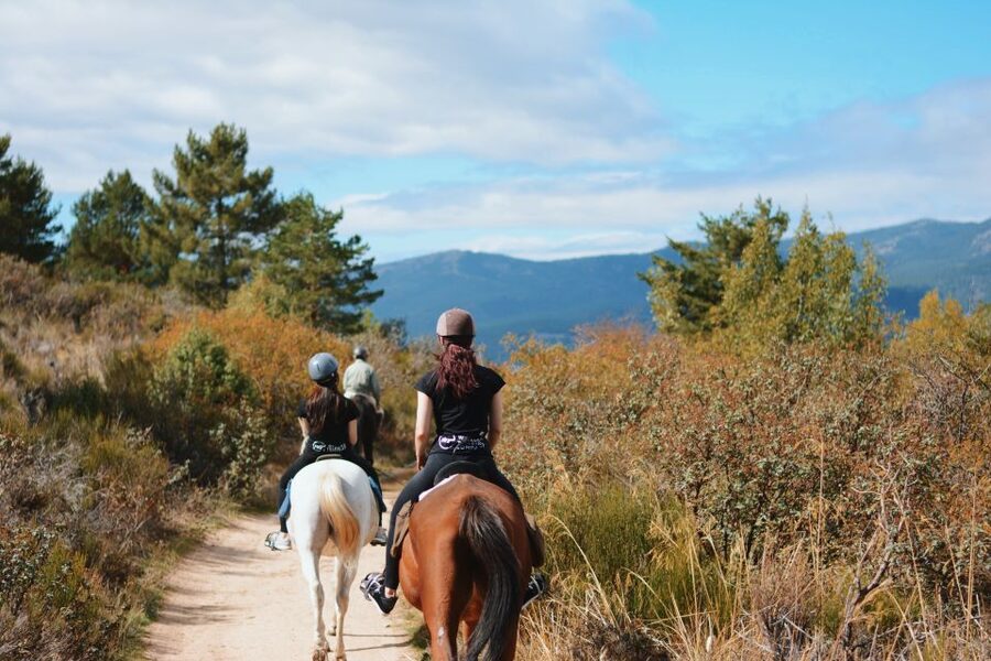 Madrid: Horse Riding in Sierra del Guadarrama National Park - Why This Horse Ride Feels Like a Mountain Reset