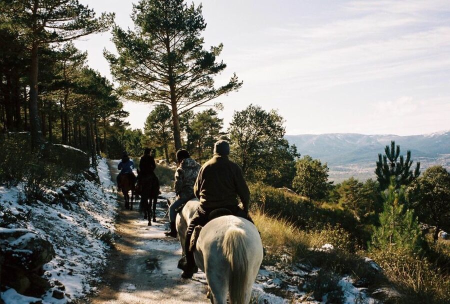 Madrid: Horse Riding in Sierra del Guadarrama National Park - Safety First, Especially When You’re Nervous