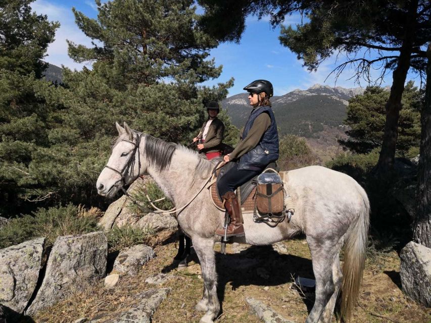 Madrid: Horse Riding in Sierra del Guadarrama National Park - What to Bring, What to Wear, and Who Should Skip