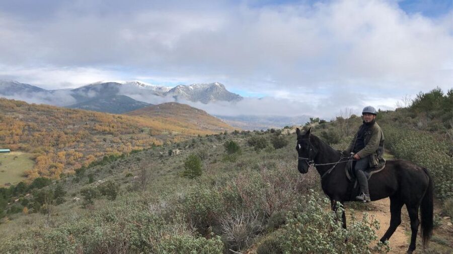 Madrid: Horse Riding in Sierra del Guadarrama National Park - Who This Tour Fits Best (And Who It Might Frustrate)