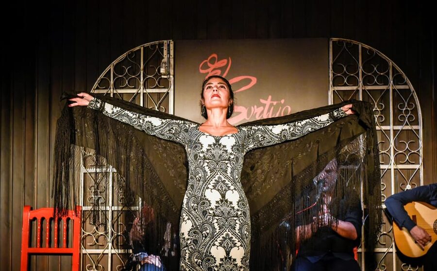 Madrid: Local Flamenco Show at El Cortijo - The workshop option: flamenco history plus some dance learning