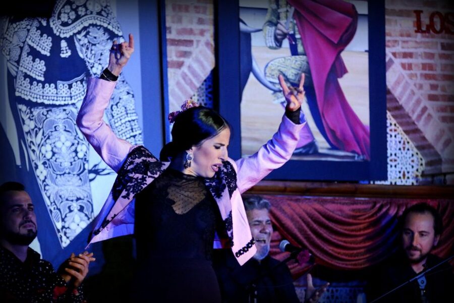 Madrid: Los Porches Flamenco Show with Tapas and Wine Ticket - The show itself: dance, singing, and live music in one continuous experience