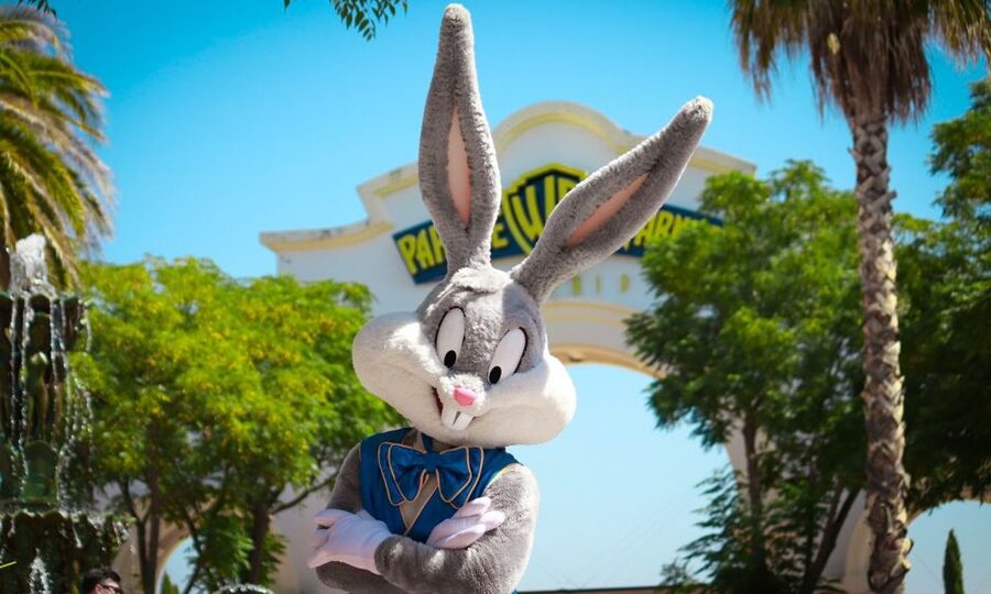 Madrid: Parque Warner Ticket and Roundtrip Transportation - Cartoon Village for families: Tom & Jerry, Roadrunner, and the easiest win