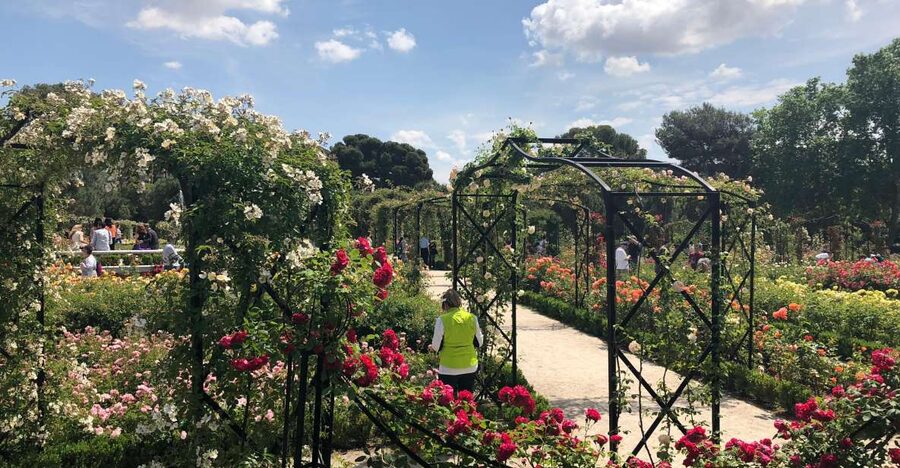 Madrid: Prado Avenue and Retiro Park Guided Walking Tour - From Banco de España to Puerta de Alcalá, a 2.5-hour route that makes sense