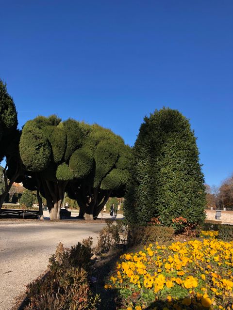 Madrid: Prado Avenue and Retiro Park Guided Walking Tour - How Prado Avenue history shapes the walk into Retiro Park