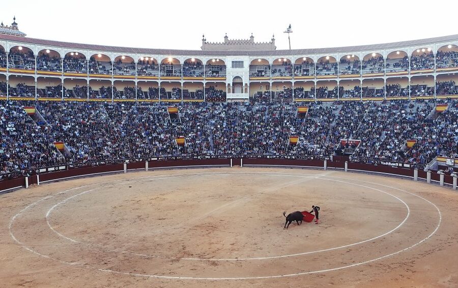 Madrid: Private Customized Walking Tour with a Local Host - Choosing Sights and Time: When the Walk Becomes Your Personal Plan