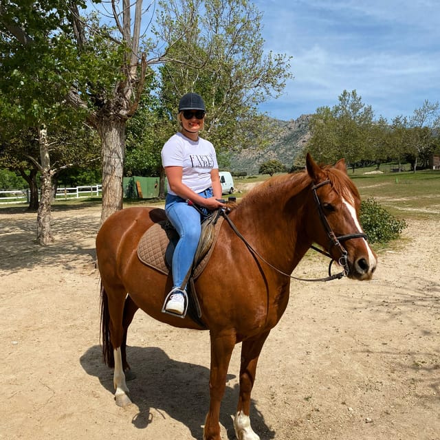 Madrid: Private Horseback Riding in Pedriza NP & Transport - Meet the Horses: What Makes This Feel Safe and Friendly