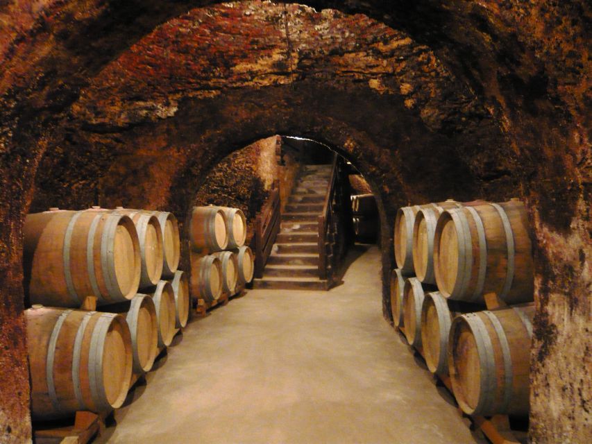 Madrid Region Wineries Guided Tour with Wine Tastings - Key highlights worth your attention