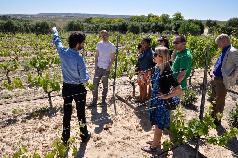 Madrid Region Wineries Guided Tour with Wine Tastings - Why Madrid caves and clay pots belong on your list