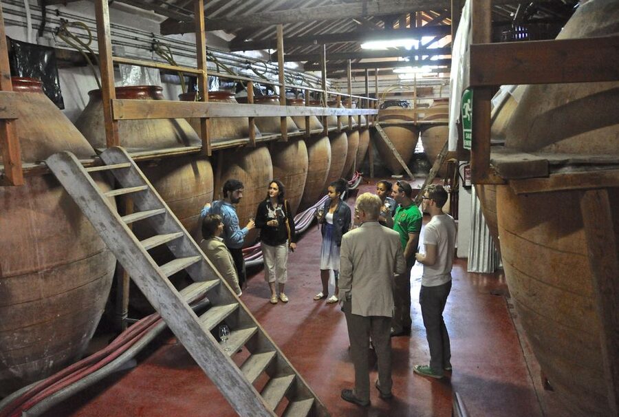 Madrid Region Wineries Guided Tour with Wine Tastings - What “9+ wines” feels like, plus the local appetizers