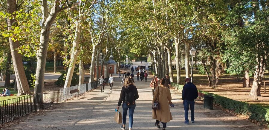 Madrid: Retiro Park Guided Tour with a Photographer - Quiet corners and fountains: what those short visits are really for