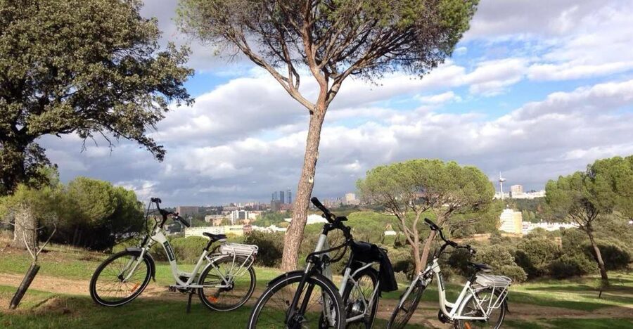 Madrid’s River Side & Casa de Campo Electric Bike Tour - Leaving the old city fast: Plaza Mayor to Plaza de Oriente