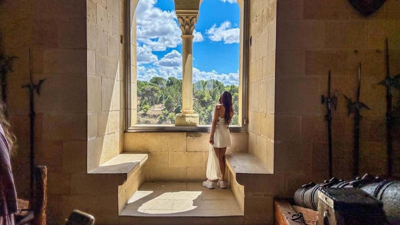 Madrid: Segovia & Ávila Full Day with Alcázar & Wall Tickets - Ávila Free Time: A 1-Hour Buffer to Eat, Reset, and Explore