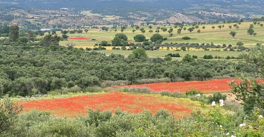 Madrid: Unspoiled Spain for Foodies & Nature ❤️’s - Lunch in a Private Home Built into Castle Rock