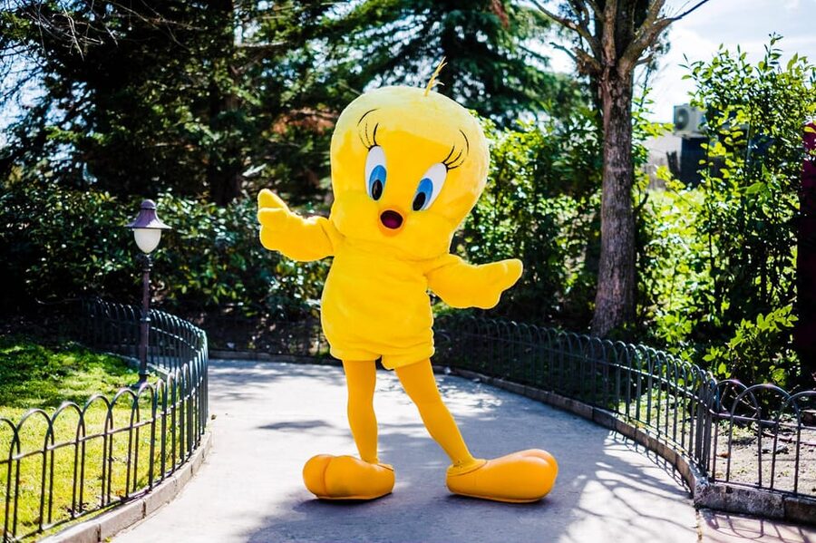 Madrid: Warner Park Entry Ticket - Your day plan: the five themed areas you will actually use
