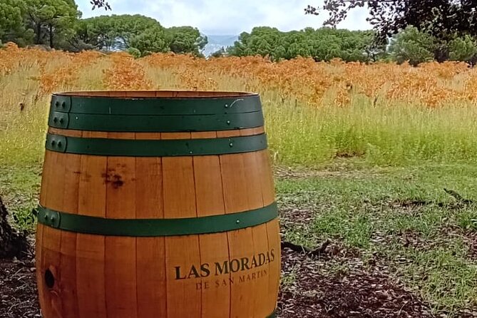 Madrid Wine Tour: Visit Two Wineries with Tastings - Tasting Tips You Can Use Immediately, Without Turning It Into Homework