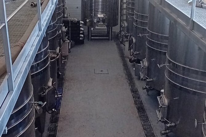 Madrid Wine Tour: Visit Two Wineries with Tastings - Should You Book This Madrid Wine Tour?