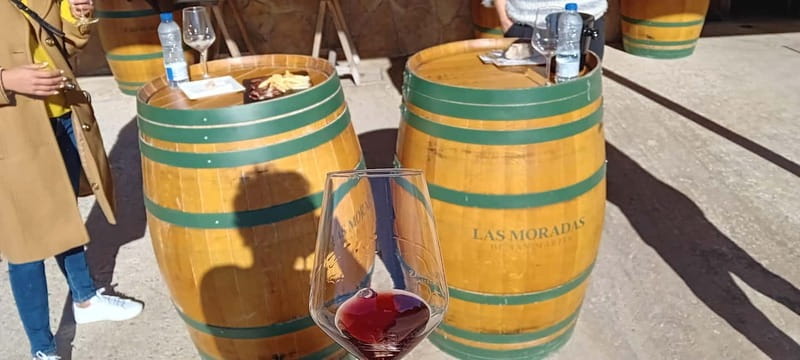 Madrid Winery Tour with Tasting & Sommelier Guide - Key things to know before you go