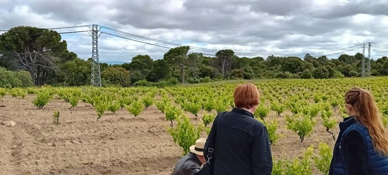 Madrid Winery Tour with Tasting & Sommelier Guide - Inside the Boutique Winery: Winemaking Lessons and a Real Feel for Craft