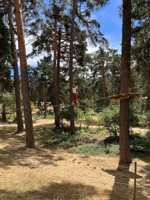 Madrid: Zip line circuits high in the trees - Key things to know before you go