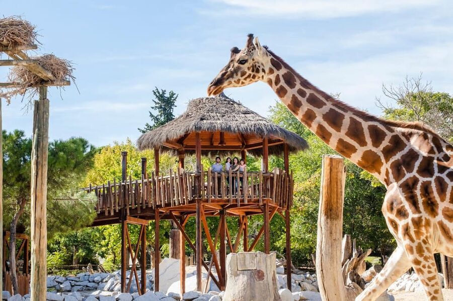 Madrid: Zoo Aquarium Madrid Ticket - Getting in: main entrance voucher and how to start smoothly