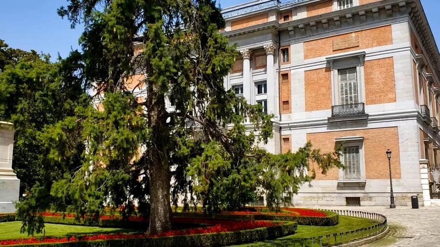 PRADO MUSEUM HIGHLIGHTS PRIVATE TOUR - Avoiding the Prado Maze With a “Highlights” Strategy