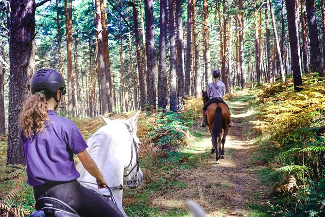 Private Horse Ride in Madrid natural park reserve - Key highlights to know before you go