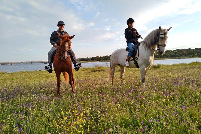 Private Horse Ride in Madrid natural park reserve - What makes this Sierra del Guadarrama ride special