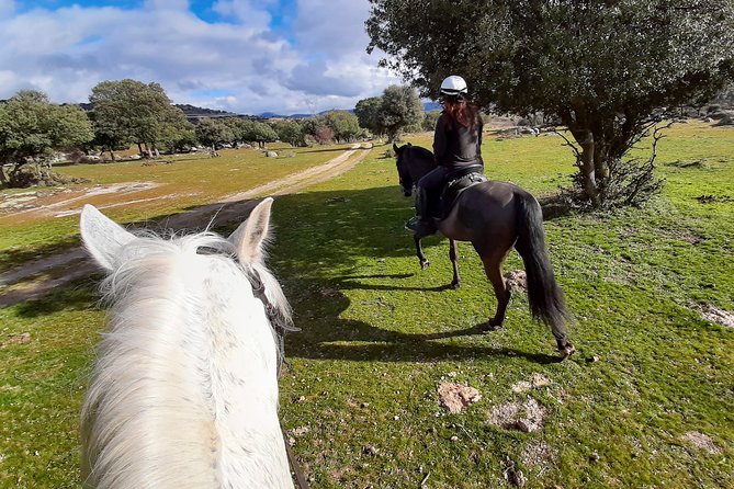 Private Horse Ride in Madrid natural park reserve - The views: why the route is worth the ride, not just the animal