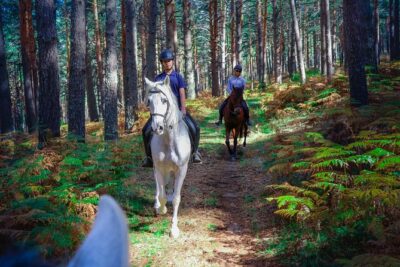 Private Horse Ride in Madrid natural park reserve