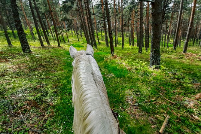 Private Horse Ride in Madrid natural park reserve - Snacks and drinks: the small inclusion that keeps the ride enjoyable