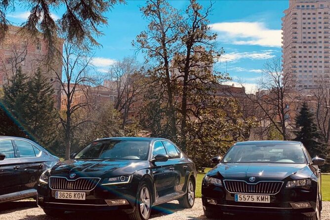 Private Transportation from Madrid Airport to City Center - Door-to-Door in Madrid: What You Gain With Private Drop-Off