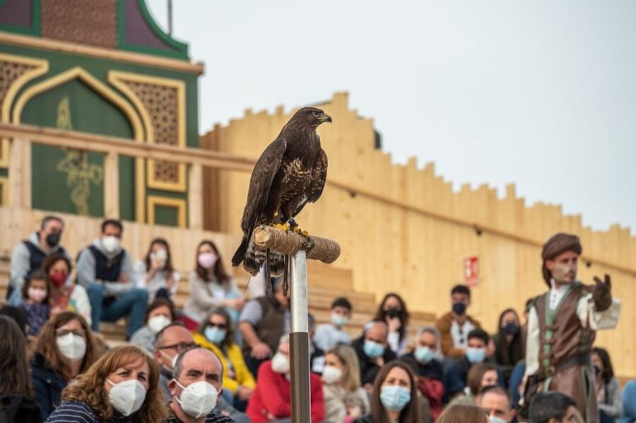 Puy du Fou España Entry Ticket - Who This 1-Day Ticket Fits Best