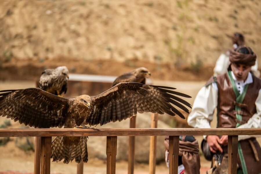 Puy du Fou España Entry Ticket - Rain, Weather, and Comfort: How to Keep Your Day Moving