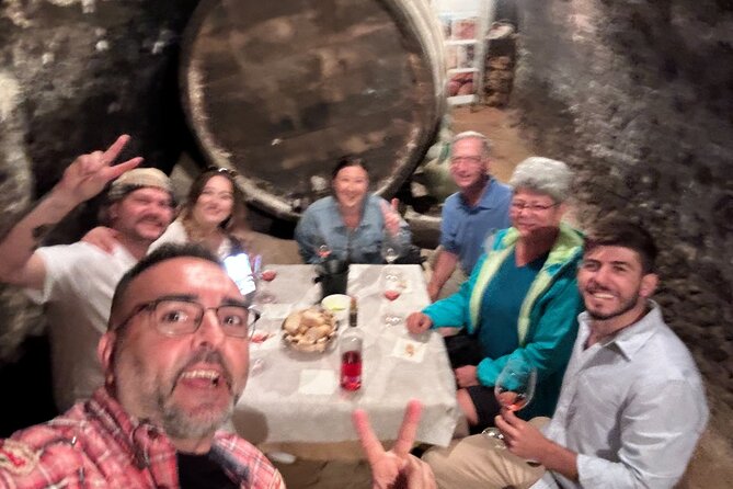Ribera del Duero:4 Wineries, tasting & Lunch included from Madrid - Key highlights at a glance