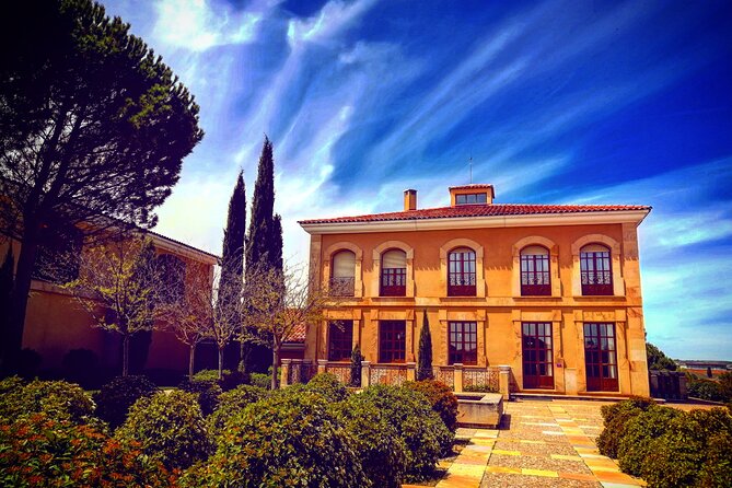 Ribera del Duero:4 Wineries, tasting & Lunch included from Madrid - The wines you taste: 12 pours, lots of contrast, and fewer empty moments