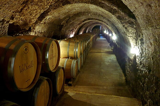 Ribera del Duero:4 Wineries, tasting & Lunch included from Madrid - The comfort and pacing that make a long day work