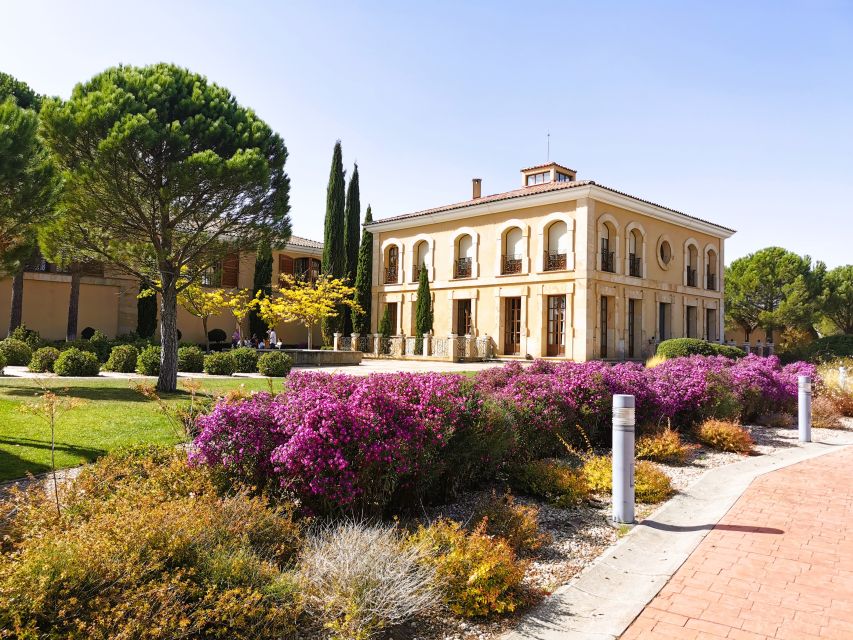 Ribera del Duero wine region private tour - Key things I’d watch for