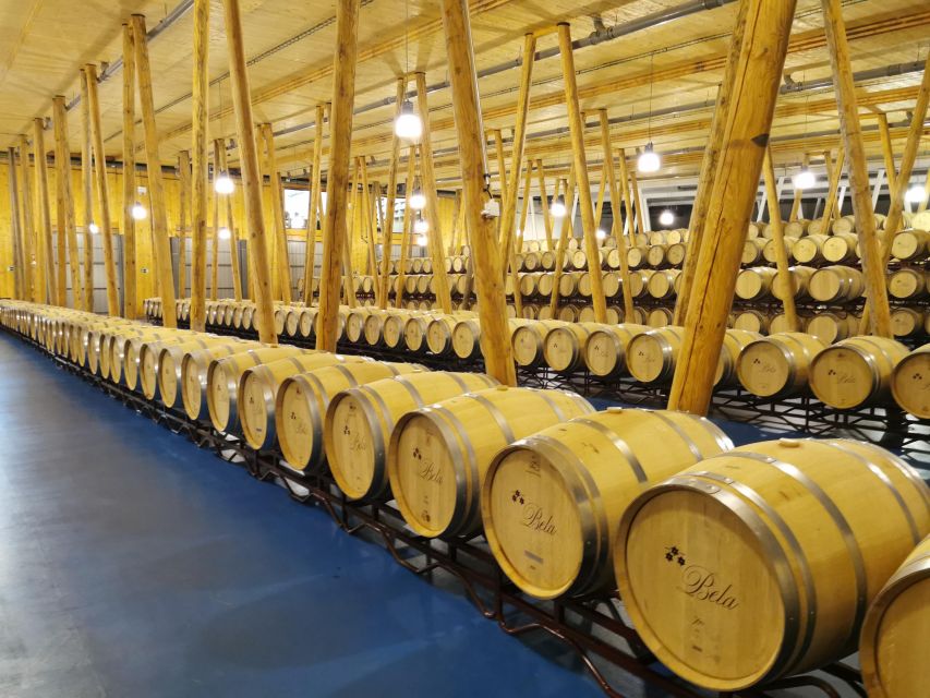 Ribera del Duero wine region private tour - Tips to Make the Wine Day Feel Smooth