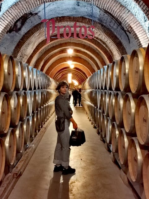 Ribera del Duero wine region private tour - One-Day Ribera Del Duero: The Tempranillo Lesson Plan
