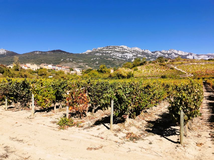 Ribera del Duero wine region private tour - Stop One: A Modern Avant-Garde Winery and the Story in the Barrels