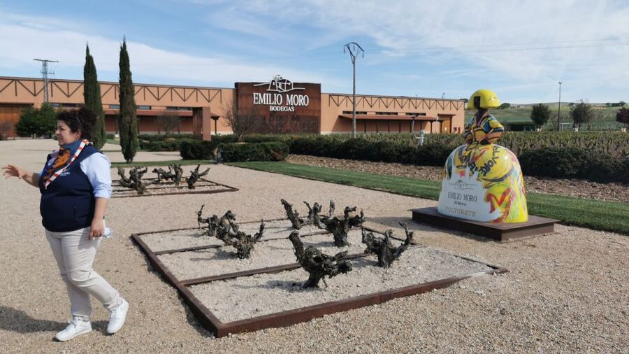 Ribera del Duero wine region private tour - Stop Two: A 16th-Century Family Winery and Working Subway Cellars