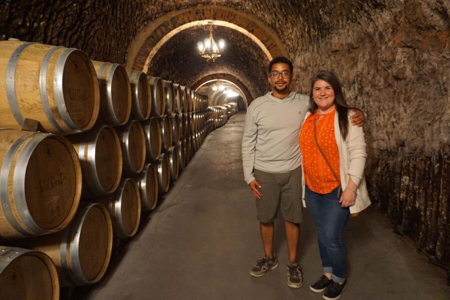Ribera del Duero wine region private tour - What Tempranillo Tastes Like When You Compare Two Approaches